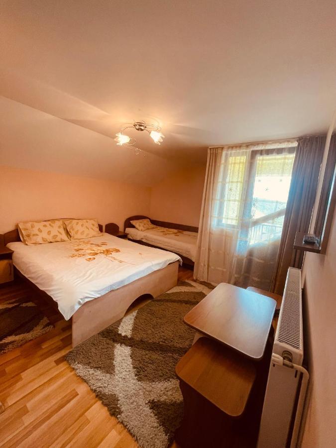 Pensiunea Valea Ursului Câmpulung Buitenkant foto