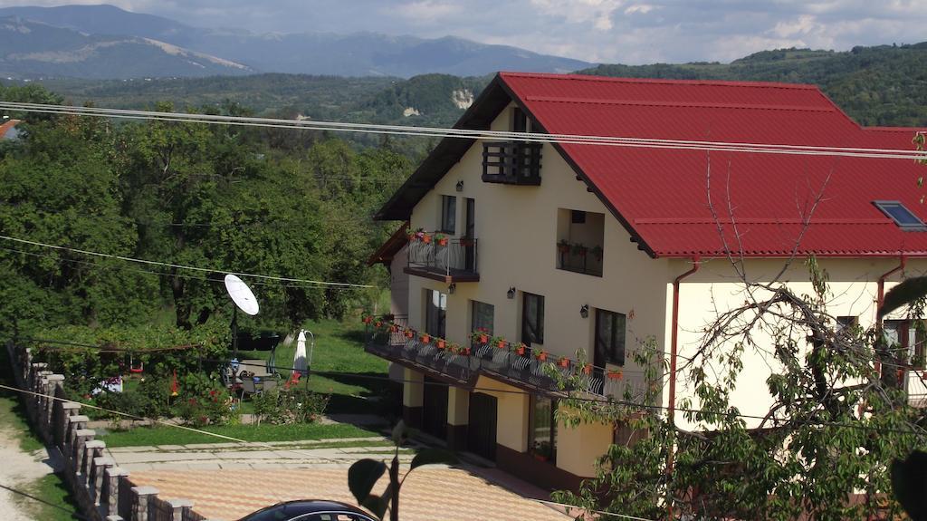 Pensiunea Valea Ursului Câmpulung Buitenkant foto