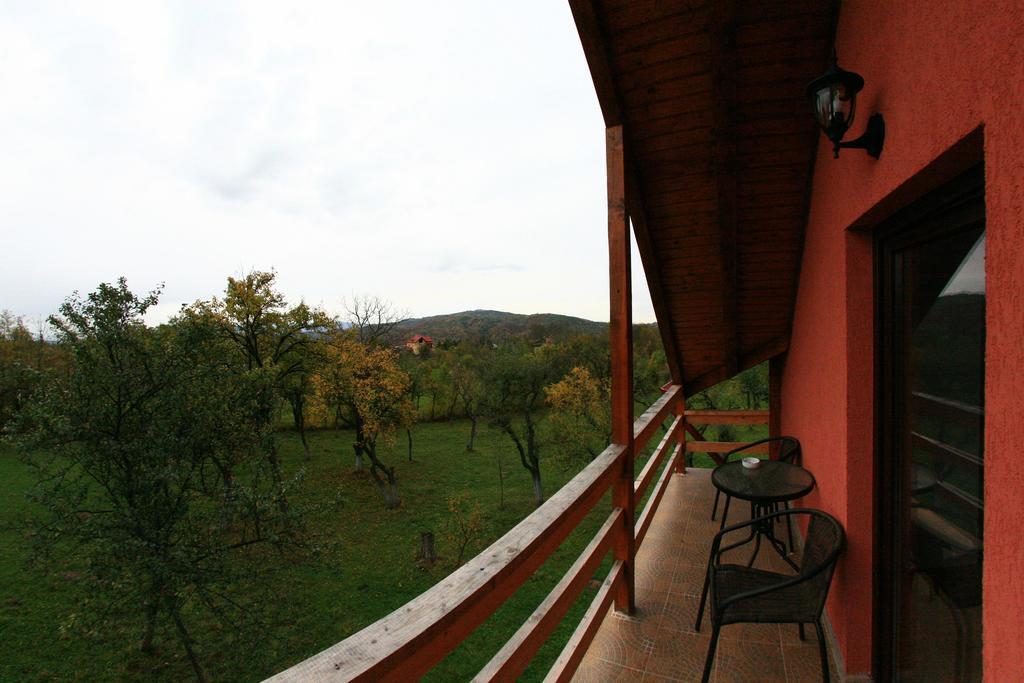 Pensiunea Valea Ursului Câmpulung Buitenkant foto